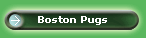 Boston Pugs